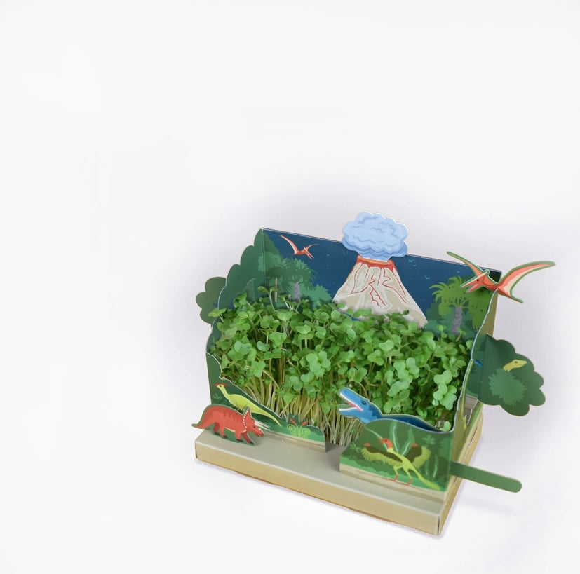 Grow Your Own Mini Dinosaur Garden