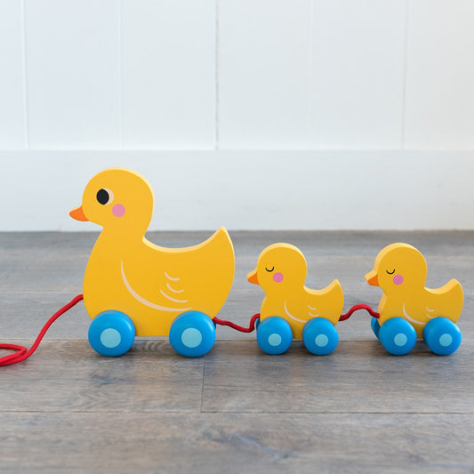 Duck Family Pull Along Toy